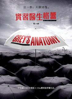 實習醫生格蕾第六季/醫人當自強第六季/Grey's Anatomy Season 6