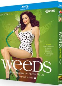 單身毒媽第1-8季/Weeds Season 1-8（BD藍光高清版）