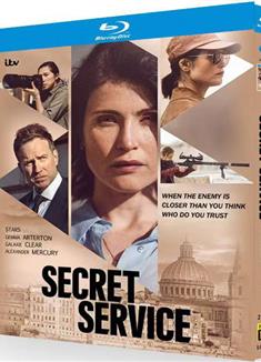 特勤局/Secret Service (2026)