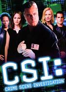 CSI犯罪現場調查：拉斯維加斯第1-10季