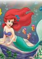 小美人魚 the little mermaid