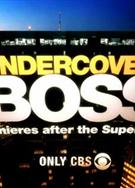 臥底老闆第1-2季UNDERCOVER BOSS