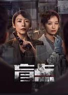 盲點/消散的痕跡 (2025)